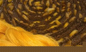 2023ҽегȵ ҽ»ʵʩΧһ(ͼ3)