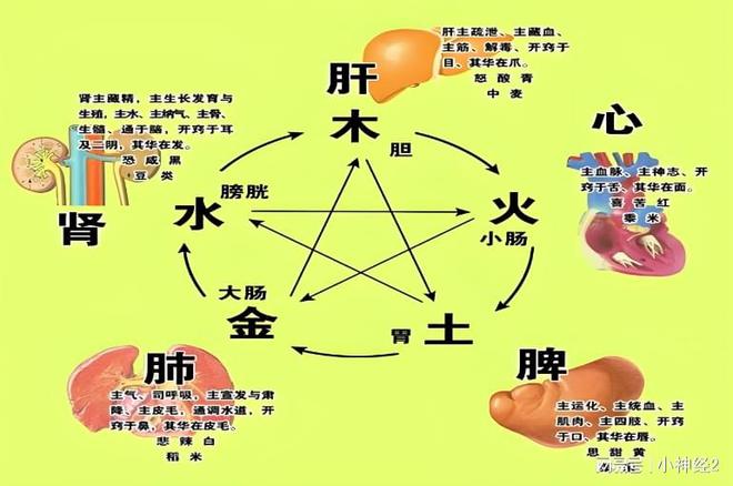 ҽɭΪθøСЧ(ͼ2)